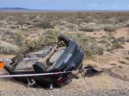 Choque frontal en Neuquén: quién era el joven que murió al impactar su auto contra un camión