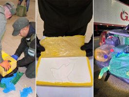 Circulaba por una ruta en Tucumán, lo detuvieron en un control y le hallaron casi media tonelada de cocaína