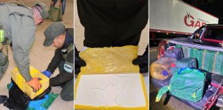 Circulaba por una ruta en Tucumán, lo detuvieron en un control y le hallaron casi media tonelada de cocaína