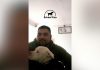 Cómo está “Agosto”, el dogo argentino que rescataron en pésimas condiciones de la casa de Claudio Barrelier