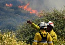 Córdoba declaró estado de alerta por el riesgo de incendios: cuáles son las actividades prohibidas