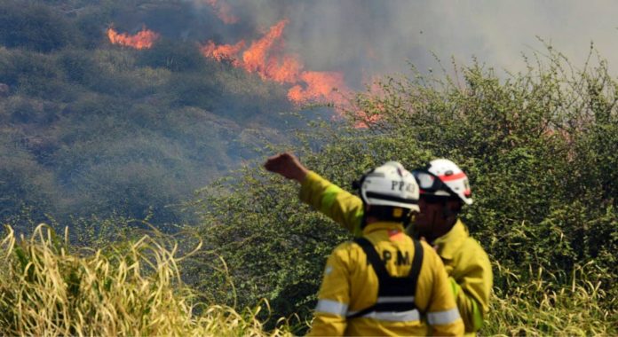 Córdoba declaró estado de alerta por el riesgo de incendios: cuáles son las actividades prohibidas