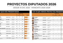 Cuántos proyectos llevan presentados los diputados que ingresaron en diciembre