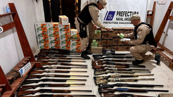 Decenas de rifles y animales disecados: el millonario decomiso en un coto de caza de Entre Ríos investigado por presunto tráfico de fauna