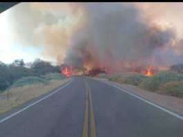Incendio en Cafayate: se registraron más de 200 hectáreas quemadas