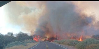 Incendio en Cafayate: se registraron más de 200 hectáreas quemadas