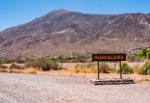 Jujuy: un hombre irá a juicio acusado de envenenar con pesticida a sus hijas mellizas recién nacidas