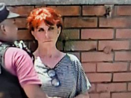 La Justicia sobreseyó a la empresaria que atropelló y mató a un turista brasileño en Año Nuevo de 2025: los argumentos del fallo