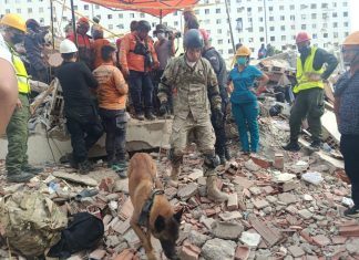 La misión humanitaria argentina en Venezuela rescató a dos personas entre los escombros con la ayuda de un can especializado