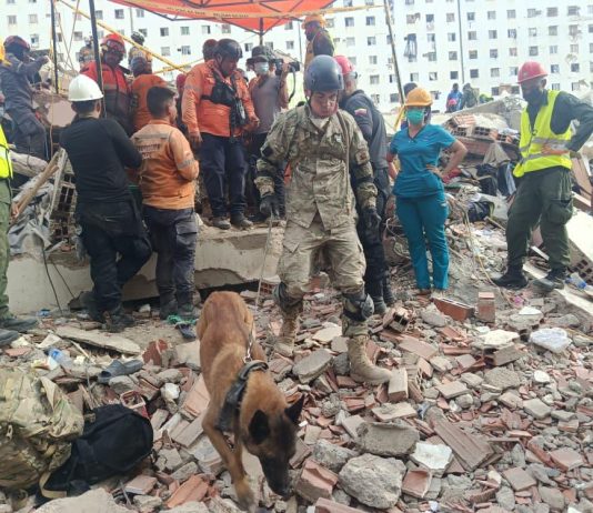 La misión humanitaria argentina en Venezuela rescató a dos personas entre los escombros con la ayuda de un can especializado
