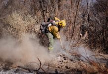 Los focos de incendio que quemaron más de 200 hectáreas están contenidos en Cafayate