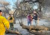 Los incendios en Cafayate ya arrasaron más 200 hectáreas y la Justicia de Salta busca a los responsables