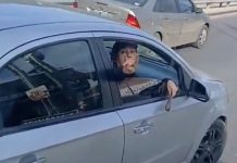 “¿Qué te pasa gato?”: un conductor agredió a un colectivero durante una violenta discusión de tránsito