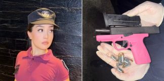 Quién es la ex policía que fue detenida tras protagonizar un choque fatal y ocultar un arma dentro de un patrullero