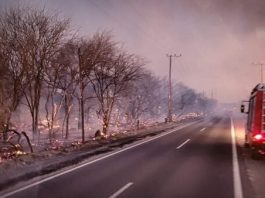 Reforzaron las tareas de combate para detener el incendio en Cafayate a dos semanas del inicio de las llamas