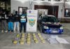 Secuestraron más de 205 kilos de droga tras un operativo en Salta y hay dos personas detenidas
