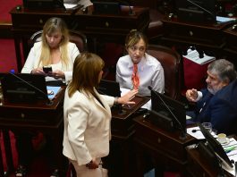 Senado: los aliados toman el control de la agenda que cede Bullrich y cambian a gusto leyes y plazos