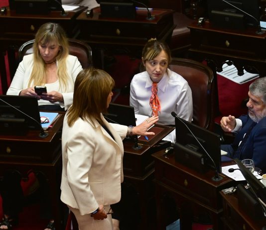 Senado: los aliados toman el control de la agenda que cede Bullrich y cambian a gusto leyes y plazos