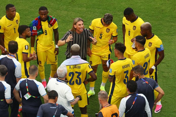 “Tenemos una vida más”: la dramática arenga de Beccacece tras el empate de Ecuador que lo dejó sin margen de error en el Mundial
