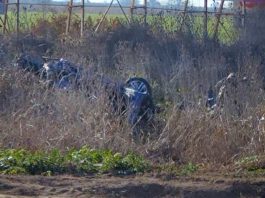 Tragedia en Santa Fe: dos jóvenes murieron y otros cuatro resultaron heridos tras volcar en la ruta 26