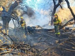 Tras los incendios en Cafayate, el municipio prohibió que se realicen loteos en zonas afectadas