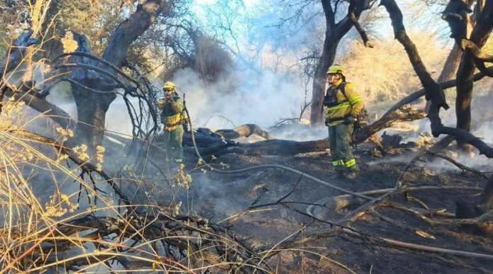 Tras los incendios en Cafayate, el municipio prohibió que se realicen loteos en zonas afectadas