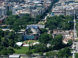 Una demanda judicial busca frenar la pelea de UFC en la Casa Blanca durante el cumpleaños 80 de Trump