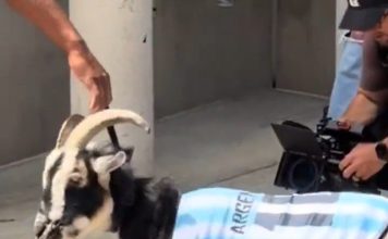 Una estrella de la NFL rindió homenaje a Lionel Messi con una cabra en el Mundial