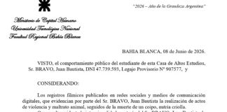Uno de los jóvenes que mató a patadas a una nutria fue suspendido de la facultad y le harán un juicio académico
