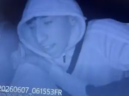 Video: engañaron a un chofer de aplicación con un falso viaje, le pusieron un cuchillo en el cuello y le robaron a bordo de su auto