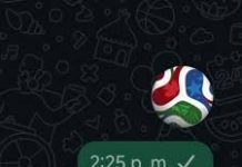 WhatsApp creó el emoji del Mundial 2026: cómo enviar por chat el símbolo de la pelota Trionda