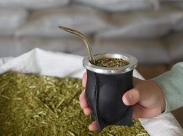 Yerba mate: cuáles son las diferencias entre las variedades con palo, sin palo, orgánicas y artesanales