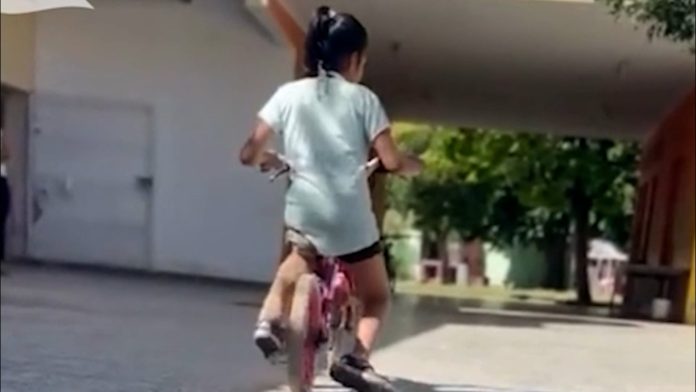 Buscan una familia para una nena de 11 años de Río Negro: la convocatoria está abierta en todo el país