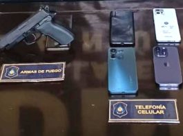 Cayó el jefe de una banda que robaba camiones de pollo y carne