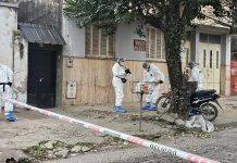 Chocó contra un árbol y murió: en el hospital descubrieron que tenía una herida de bala en la espalda