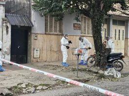 Chocó contra un árbol y murió: en el hospital descubrieron que tenía una herida de bala en la espalda