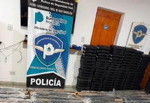 Circulaba con un arsenal de 131 armas de guerra, lo descubrieron en un control vehicular y quedó detenido