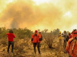 Contuvieron parte de los incendios en La Rioja, pero un foco genera preocupación entre los brigadistas