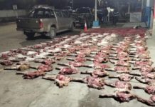 Decomisaron más de 190 kilos cortes de carne de especies protegidas durante un control policial en Santa Cruz