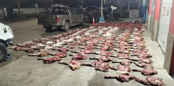 Decomisaron más de 190 kilos cortes de carne de especies protegidas durante un control policial en Santa Cruz