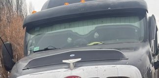Detuvieron a un joven que circulaba en un camión con pedido de captura en Neuquén