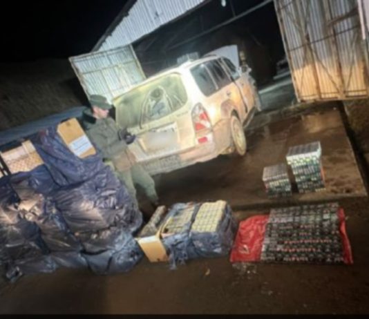 Incautaron más de 11 mil atados ilegales de cigarrillos en Tierra del Fuego provenientes de Chile