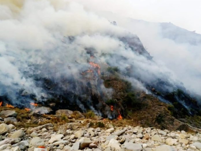 Incendio en las sierras de San Luis: los operativos intentan controlar las llamas y se investiga si fue intencional