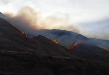 Incendios forestales en La Rioja: investigan si fue intencional el foco que quemó más de 900 hectáreas