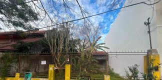 Intentó usurpar una vivienda en La Plata y se encontró con un cadáver en avanzado estado de descomposición