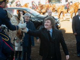 Javier Milei acusó a Brasil de financiar la campaña antiargentina