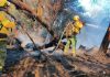 La Justicia de Salta imputó a un hombre por los incendios en Cafayate