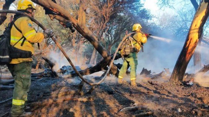 La Justicia de Salta imputó a un hombre por los incendios en Cafayate