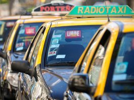 La Provincia de Buenos Aires renovó el sistema de licencias profesionales y desde la oposición cuestionaron la medida