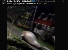 Los mejores memes del sufrido triunfo de Boca por penales frente a O’Higgins: Figal y Aranda, los elegidos